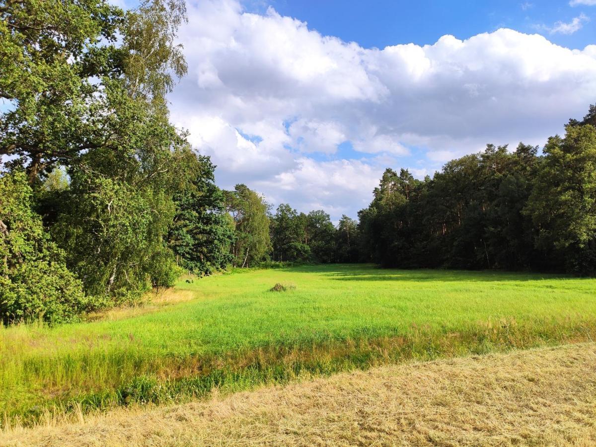 Miodowa Sadyba Domki Caloroczne Kluczbork Ligota Zamecka Luaran gambar