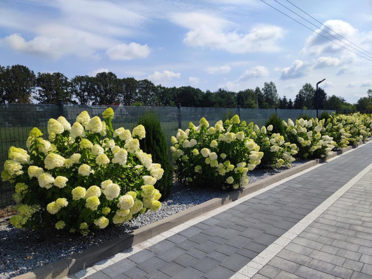 Miodowa Sadyba Domki Caloroczne Kluczbork Ligota Zamecka Luaran gambar