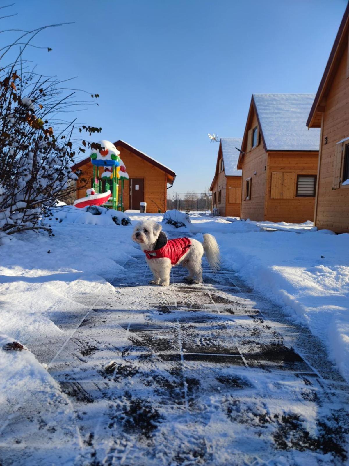 Miodowa Sadyba Domki Caloroczne Kluczbork Ligota Zamecka Luaran gambar